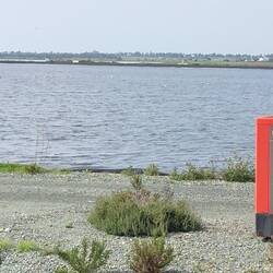 Larnaca Sewage Works from the bird hide