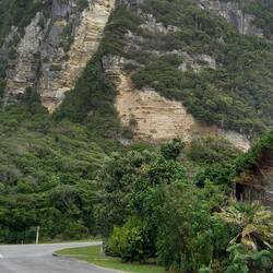 The maoris and foreign sailors made flax ladders to climb thise cliffs