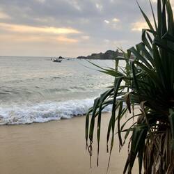 Angler sind auf Fischfang