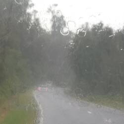 The roads are very windy on the way to Franz Josef. Chris had to be 'on'.
