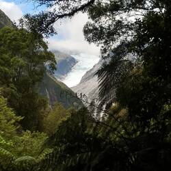 Fox glacier