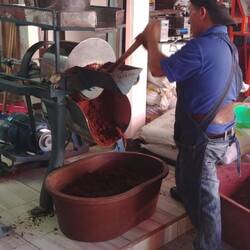 Kakaobohnen werden gemahlen. Die daraus fabriziert Chocolate entspricht nur ansatzweise unserer Schokolade.