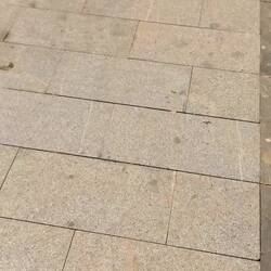 Der Versuch die ganzen Libellen zu filmen