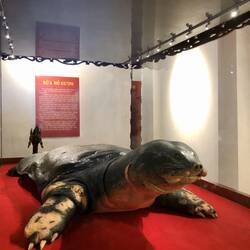 Warum? Ich weiß nicht mal ob die echt ist...