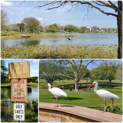Venetian Gardens Park