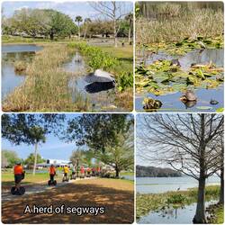 Venetian Gardens Park