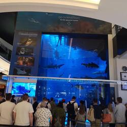 Aquarium in der Dubai Mall