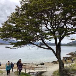 The beach at Lago Roca in front of the museum and store.