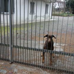 Er macht nur seinen Job