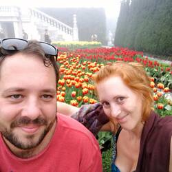 Fast wie in Holland 🌷