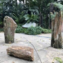 ... hier bei der Abteilung "Evolutionsgarten"