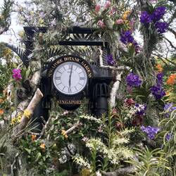 Eingang zum Orchideen Garten