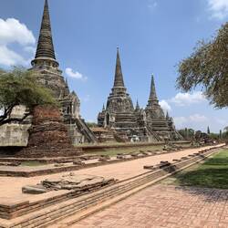 A king and his two successor sons remains are in these