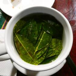 Coca-Blätter wurden zum treuen Begleiter in der Höhe - als Tee, Zältli oder einfach zum Kauen