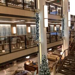 Atrium with Christmas decorations.