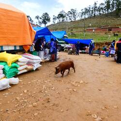 Auf Wiedersehen und bis zum nächsten Mal!