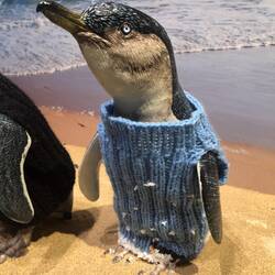 Penguin jumpers ... because it's so pigging cold!