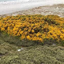 It was a long way up from the water and over difficultt terrain.