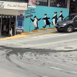 Penguins are synonomous with Ushuaia.