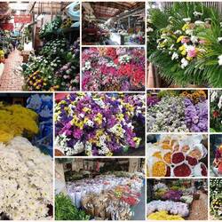Flowers everywhere