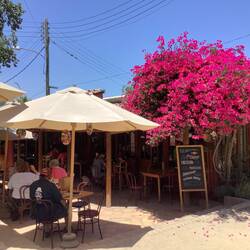 Cafe at the craft market