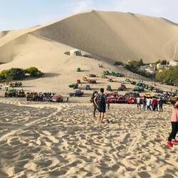 On the way back to the starting point.