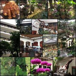 Around the hotel