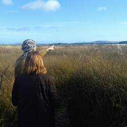 Ian tells Connie that Fernbirds live in these grasses.