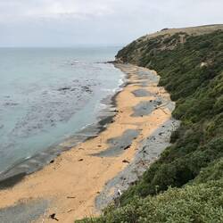 Bushy Beach - aber leider ohne Pinguine