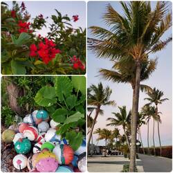 Scenes around Sunshine Key