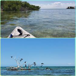 Kayaking the Keys