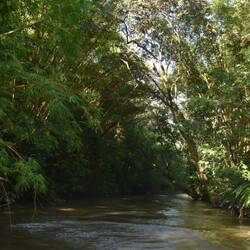 Estero Azul