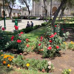 Gardens outside Iglesia de San Francisco