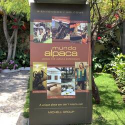 Alpaca Museum and store.