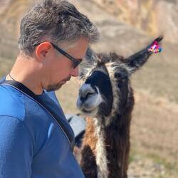 My dads llama