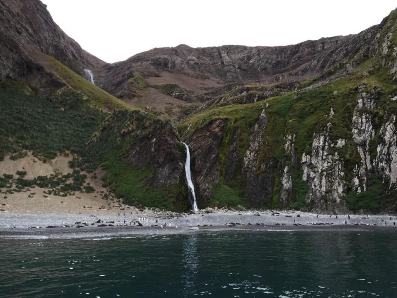 The penguin fell down this!!