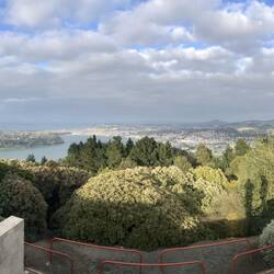 Blick über Dunedin