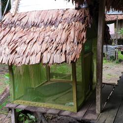 Auch die Hundehütte hat ein Moskitonetz