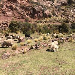 Not much to eat here.