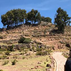 Typical terraces for Inca agriculture.