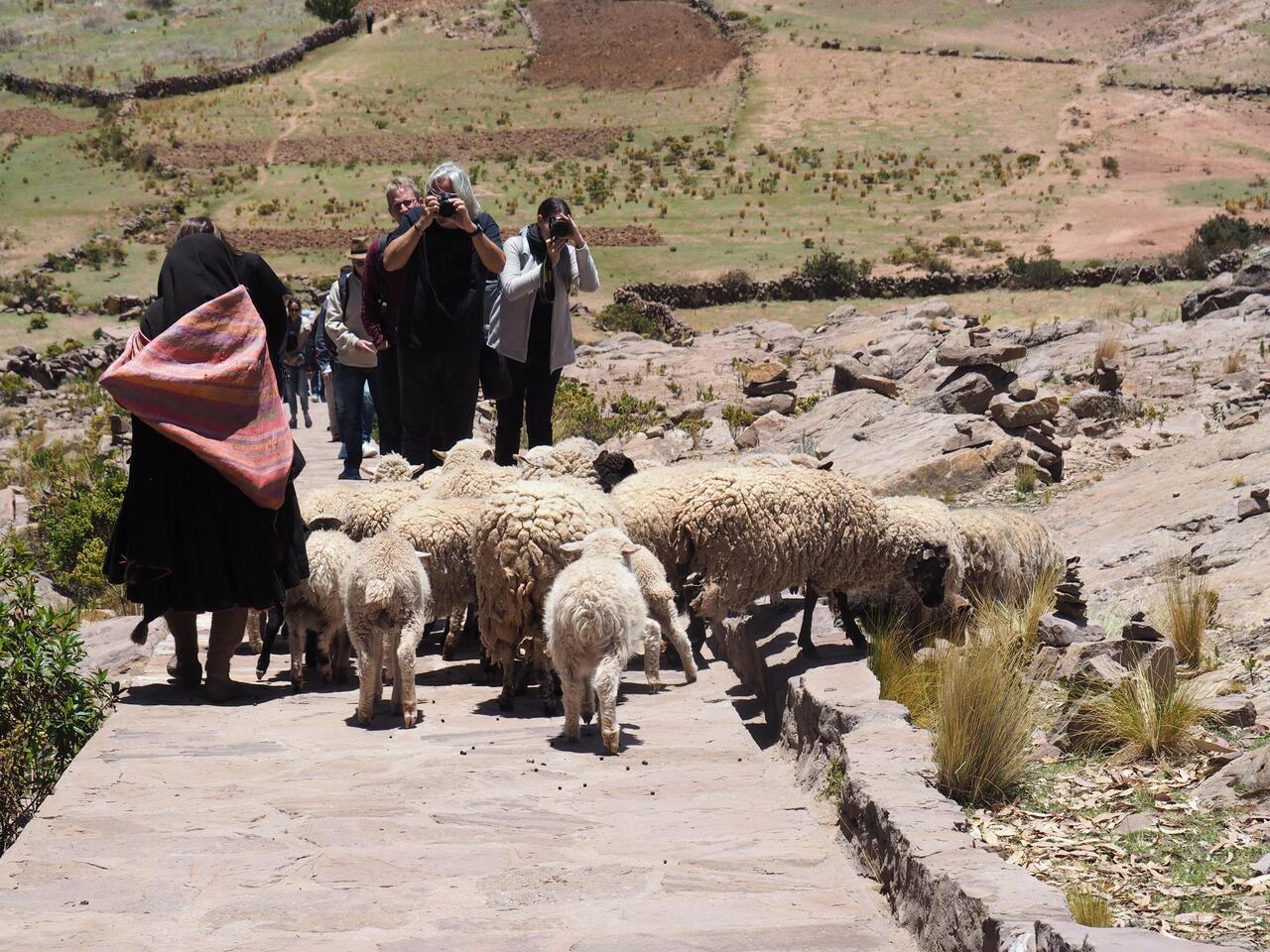 Road Block.