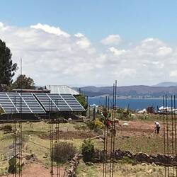 Modern solar panels and old fashioned cultivation.