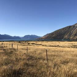 Die tolle Graslandschaft