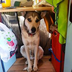 Rexby can be so cute!!!