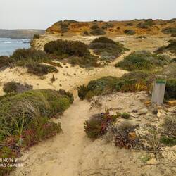 Wanderweg entdeckt 👍