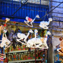 Uns war gerade nicht so nach Lamafötus, deshalb haben wir hier keinen gekauft