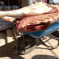 Special delivery to market.