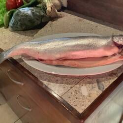 Preparing the Trout for dinner.