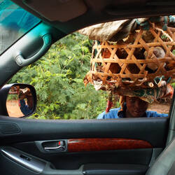 Half chicken, half man