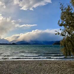 "Wanaka" See